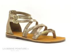 Tropeziennes PHARELL Beige Or - 23084 - Sandale Montante Tong -Chaussures De Mode cd24607c73b9e66c561f35ea11d5d5ef img 2382.jpg 149331